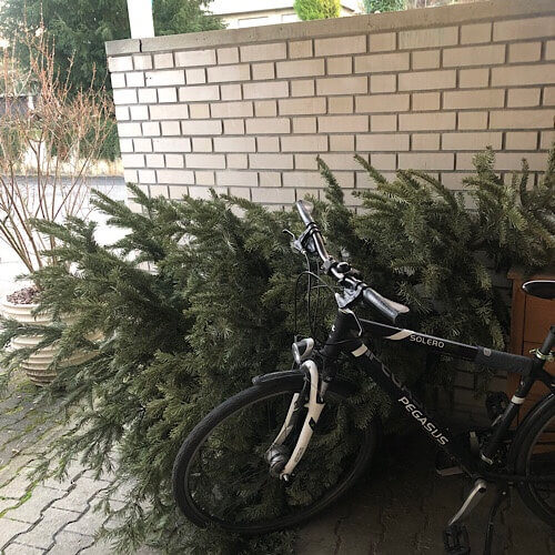 Fahrrad und alter Weihnachtsbaum vor Mauer