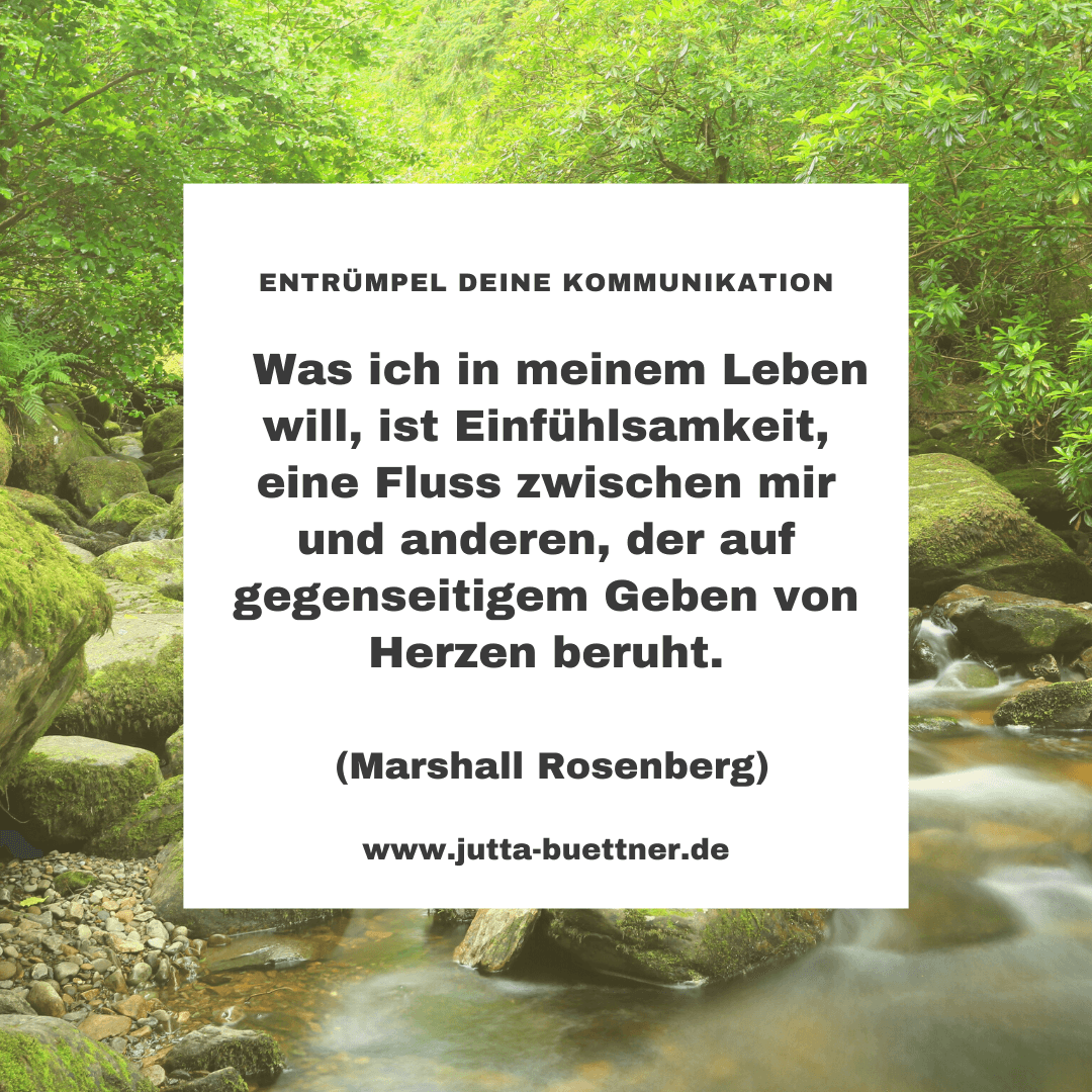 Read more about the article # 24 Anschubser