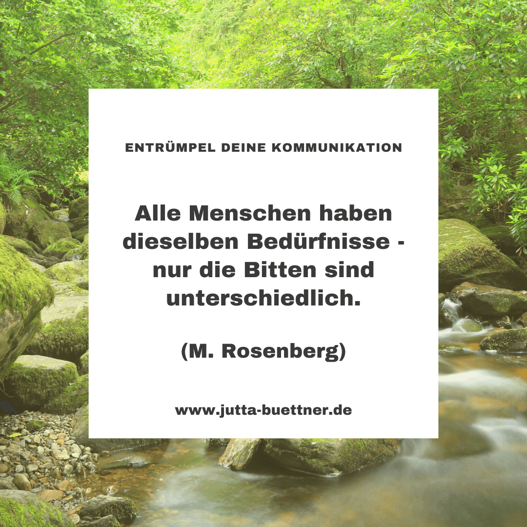 Read more about the article #34 Anschubser