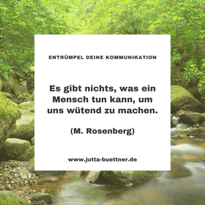 Read more about the article #38 Anschubser