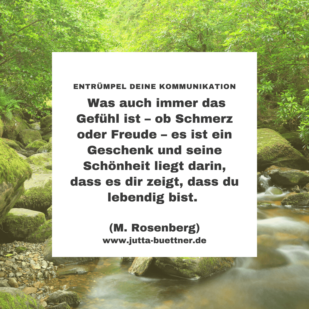 Read more about the article #36 Anschubser