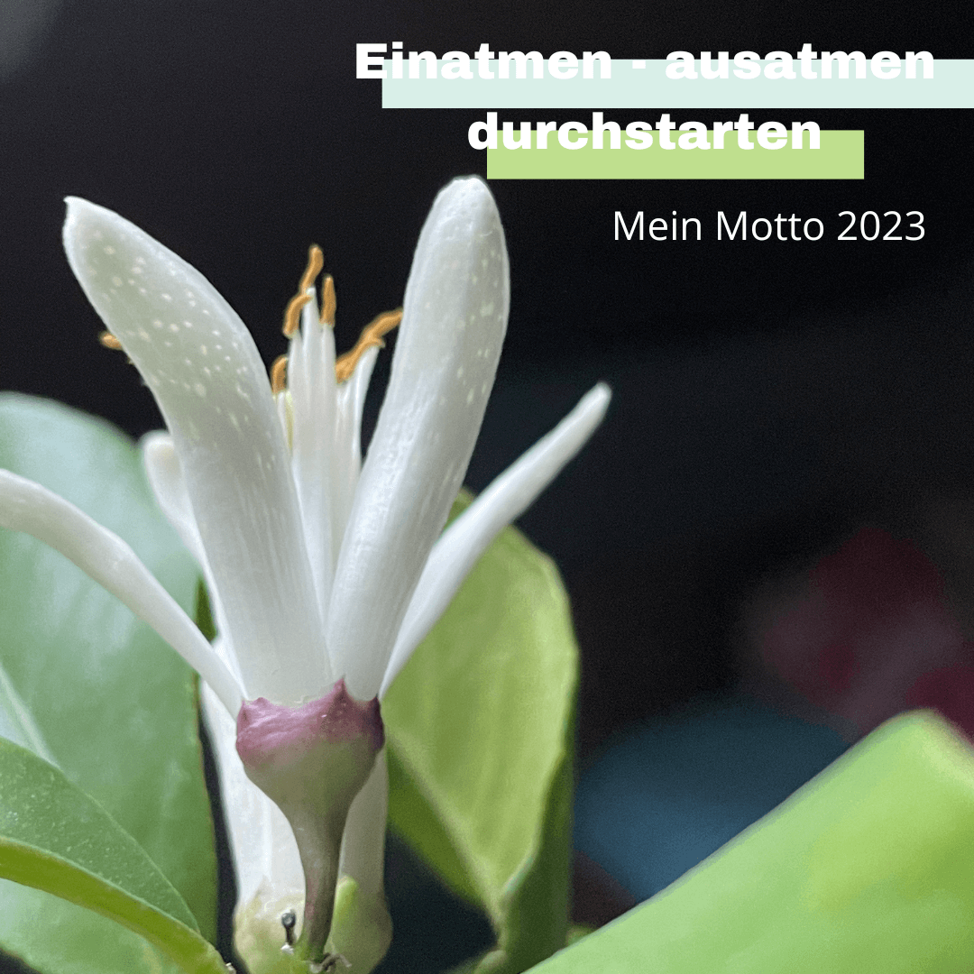 Read more about the article Mein Motto für 2023: Einatmen – ausatmen – durchstarten!