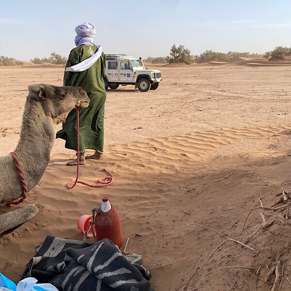 Jeep im Hintergrund. Vorne noch der Kopf eines Kamels und ein Beduine. 