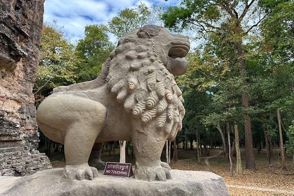 Aus Sandstein gemeiselter Löwe in kambodschanischem Stil in Kompong Thom Kambodscha