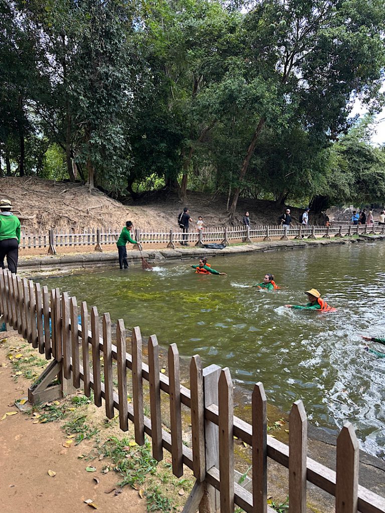 Im Vordergrund ist ein Jägerzaun zu sehen. Dahinter ist ein Bassin. Im Bassin bewegen Frauen das Wasser um das Laub einzusammeln. Sie sind bis zum Hals im Wasser.