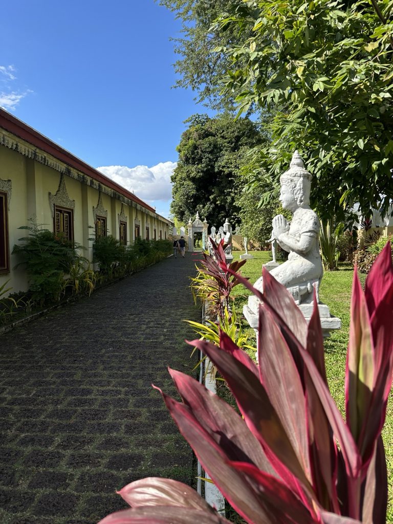 Im Vordergrund ist eine Pflanze. Dahinter steht eine Buddah-Figur. Am