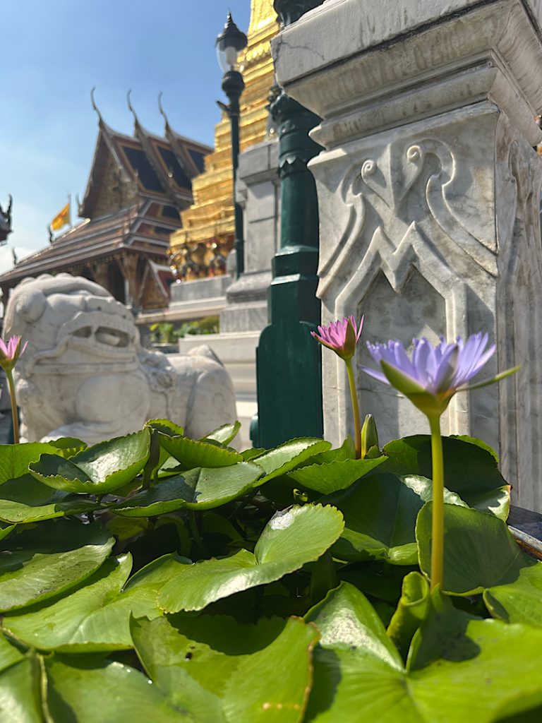 Über eine Lotusblüte hinweg ist ein buddhistischer Tempel zu sehen.