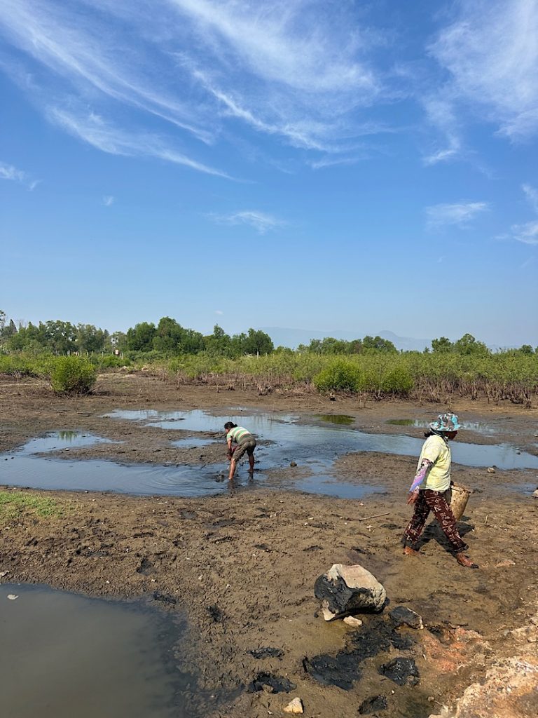 Es ist brauner Boden zu sehen. Dort sind drei größere Pfützen. Menschen bücken sich, um Fische aufzuheben. Die Fische sind in den Pfützen versteckt.