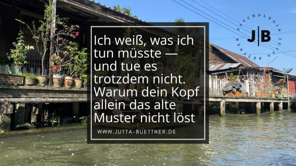 Das Bild zeigt ein Haus auf dem Weg zum Floating Market in Kambodscha. Es ist aus Holz. Stützpfeiler sind im Wasser eingelasen. Es die Dekoration für den Text.